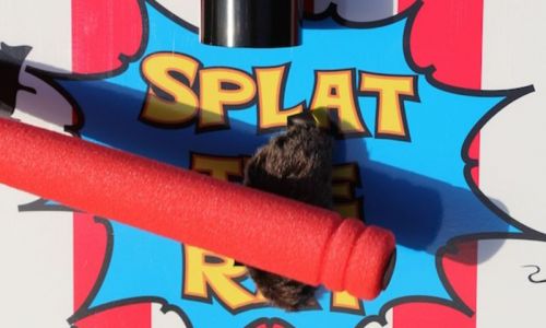 Splat2.jpg